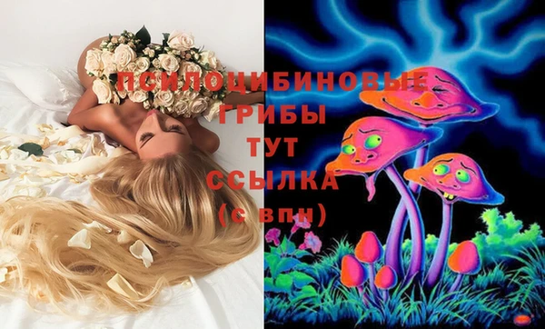 дурь Абаза