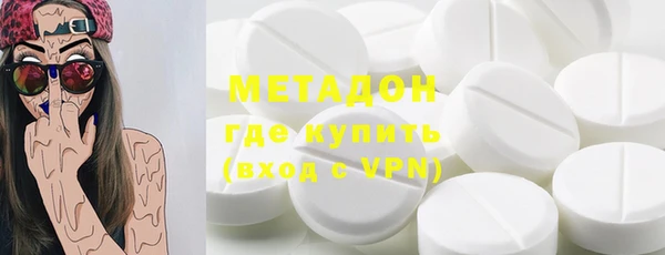 прущие грибы Абинск