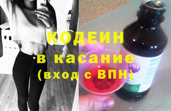 прущие грибы Абинск
