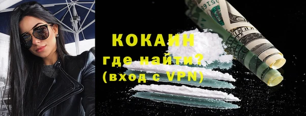 прущие грибы Абинск
