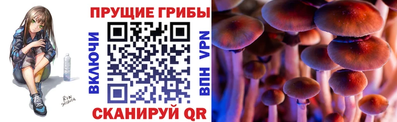 МЕГА рабочий сайт  Торжок  Галлюциногенные грибы Psilocybe 